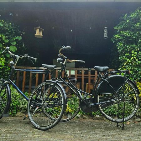 "De Jungle" Chalet Met Veranda Op Ijsselheide Hattemerbroek Veluwe المظهر الخارجي الصورة